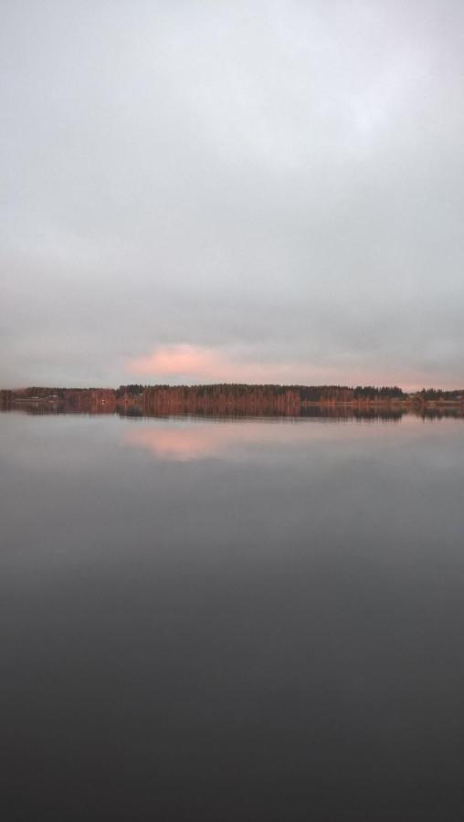 Guest House Haapaniemen Hirsikartano Iisalmi Exteriér fotografie