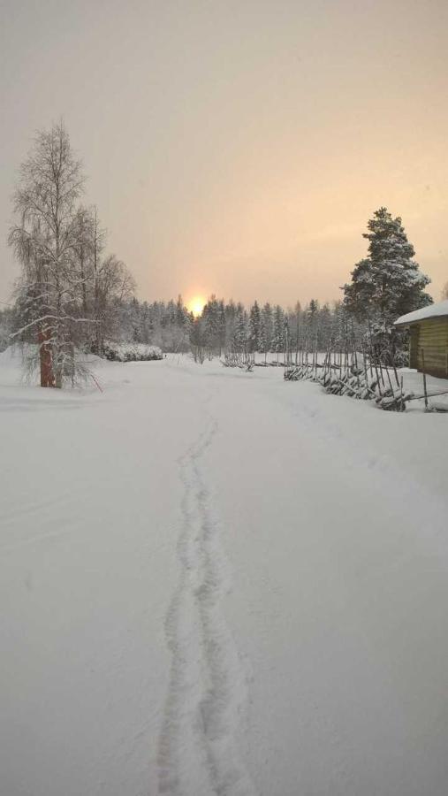 Guest House Haapaniemen Hirsikartano Iisalmi Exteriér fotografie