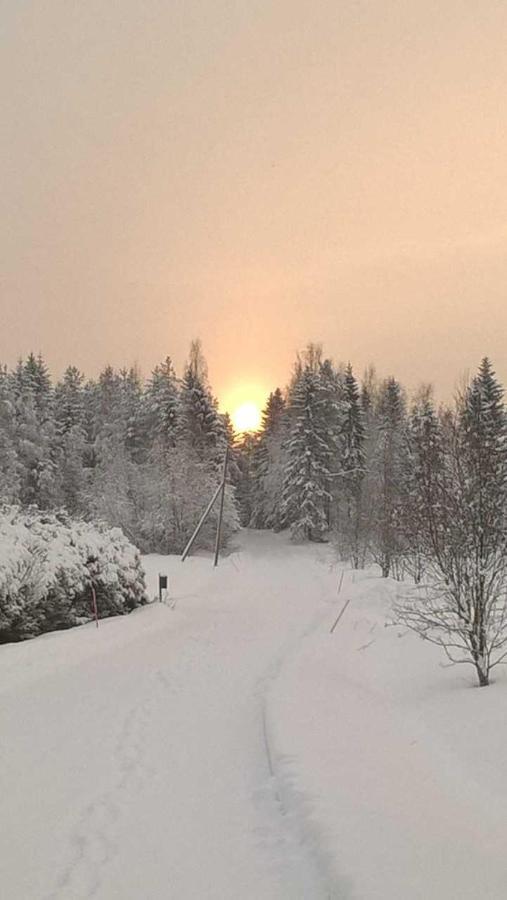 Guest House Haapaniemen Hirsikartano Iisalmi Exteriér fotografie